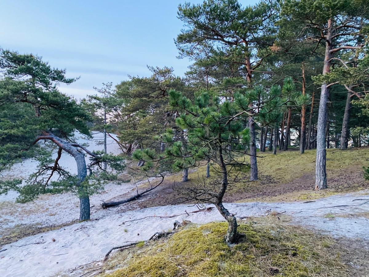 Villa Siedlisko Wytowno à Ustka Extérieur photo