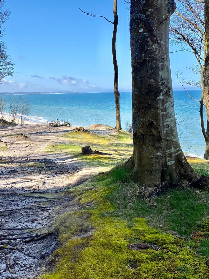 Villa Siedlisko Wytowno à Ustka Extérieur photo